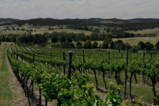 Part of the estate at Yarrh Wines
